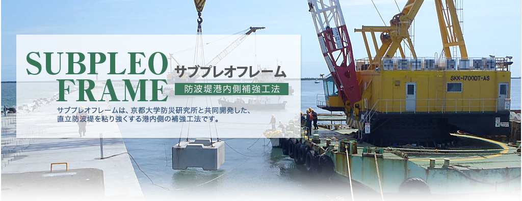 サブプレオフレーム