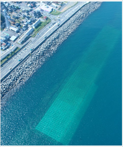 STONE BLOCK REEF